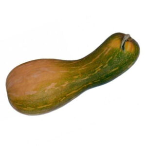 Calabaza