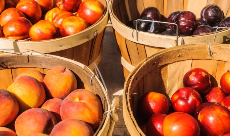 frutas de temporada en Agosto