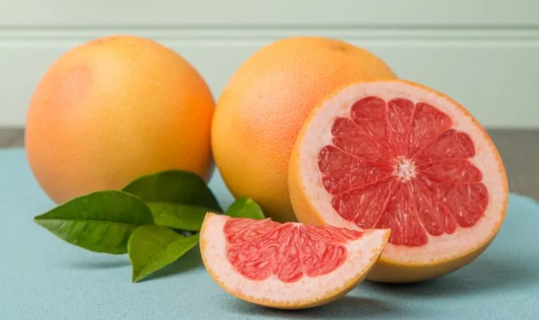 Organic Grapefruit